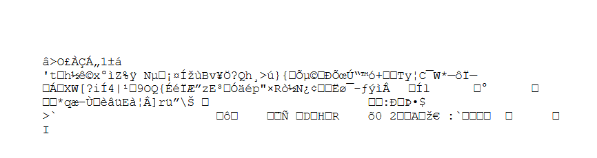 Conteúdo real de um dos "relatórios" enviados: informação zero, descaso total.